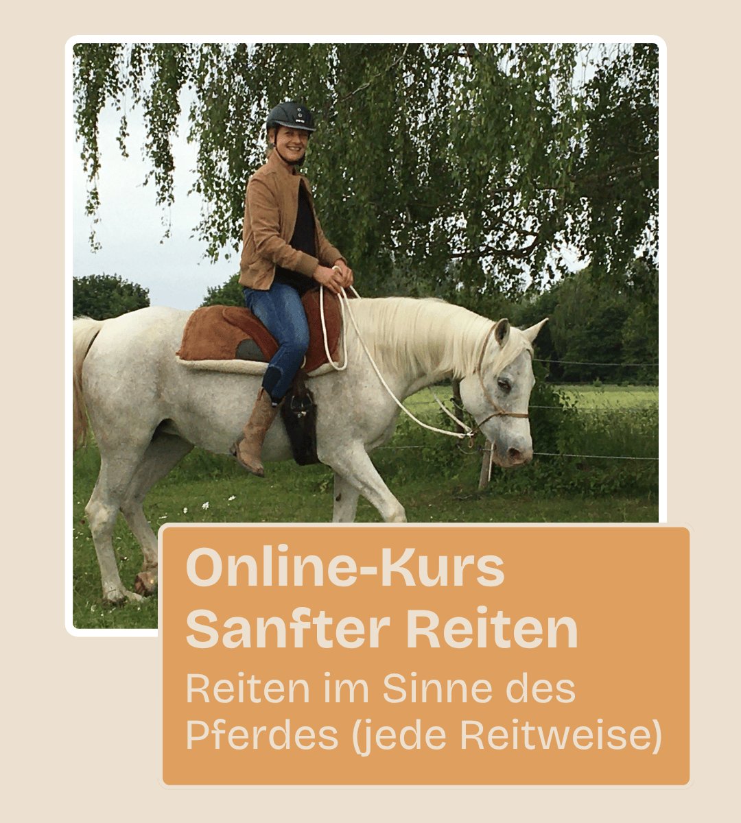 Sanfter Reiten